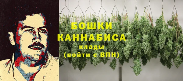 apvp Алзамай
